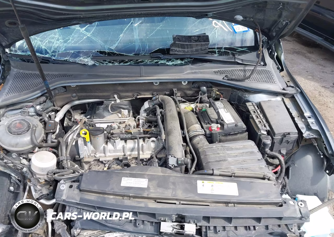 2020 Volkswagen Golf 1.4T Tsi VIN:3VWG57AU3LM013267 - 10