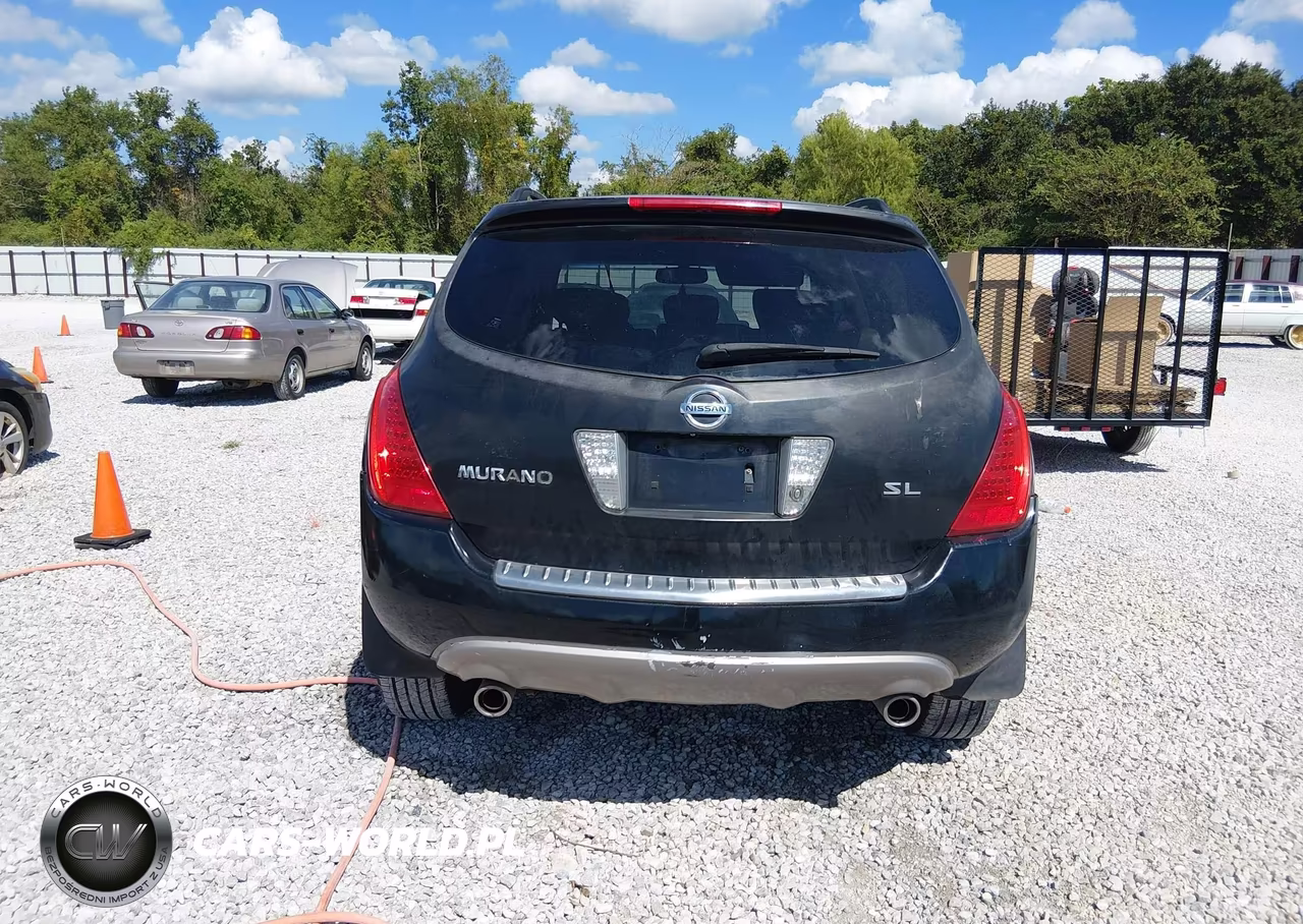 2006 Nissan Murano Sl VIN:JN8AZ08T16W424659 - 17