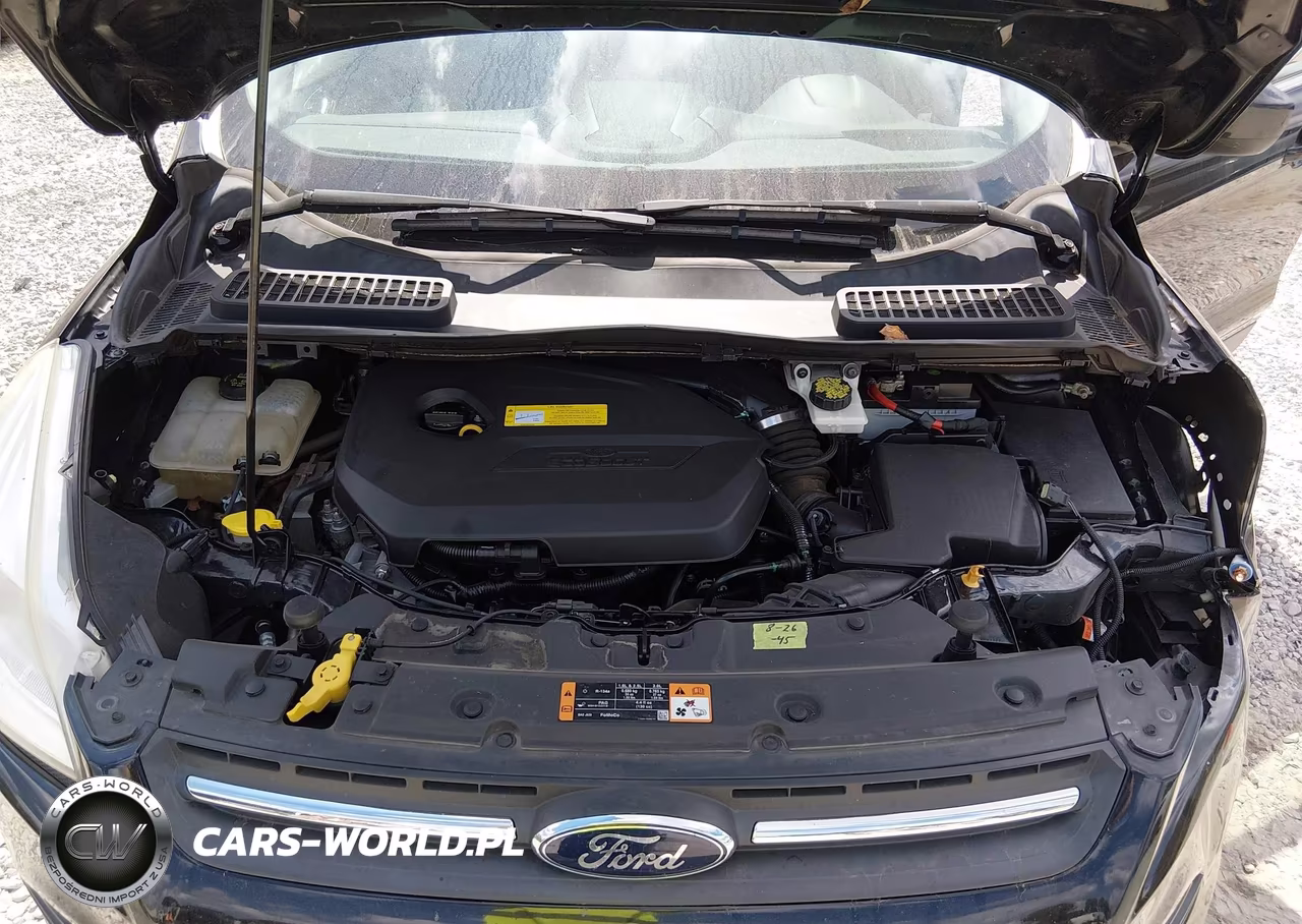 2016 Ford Escape Se VIN:1FMCU0GX0GUA04858 - 10