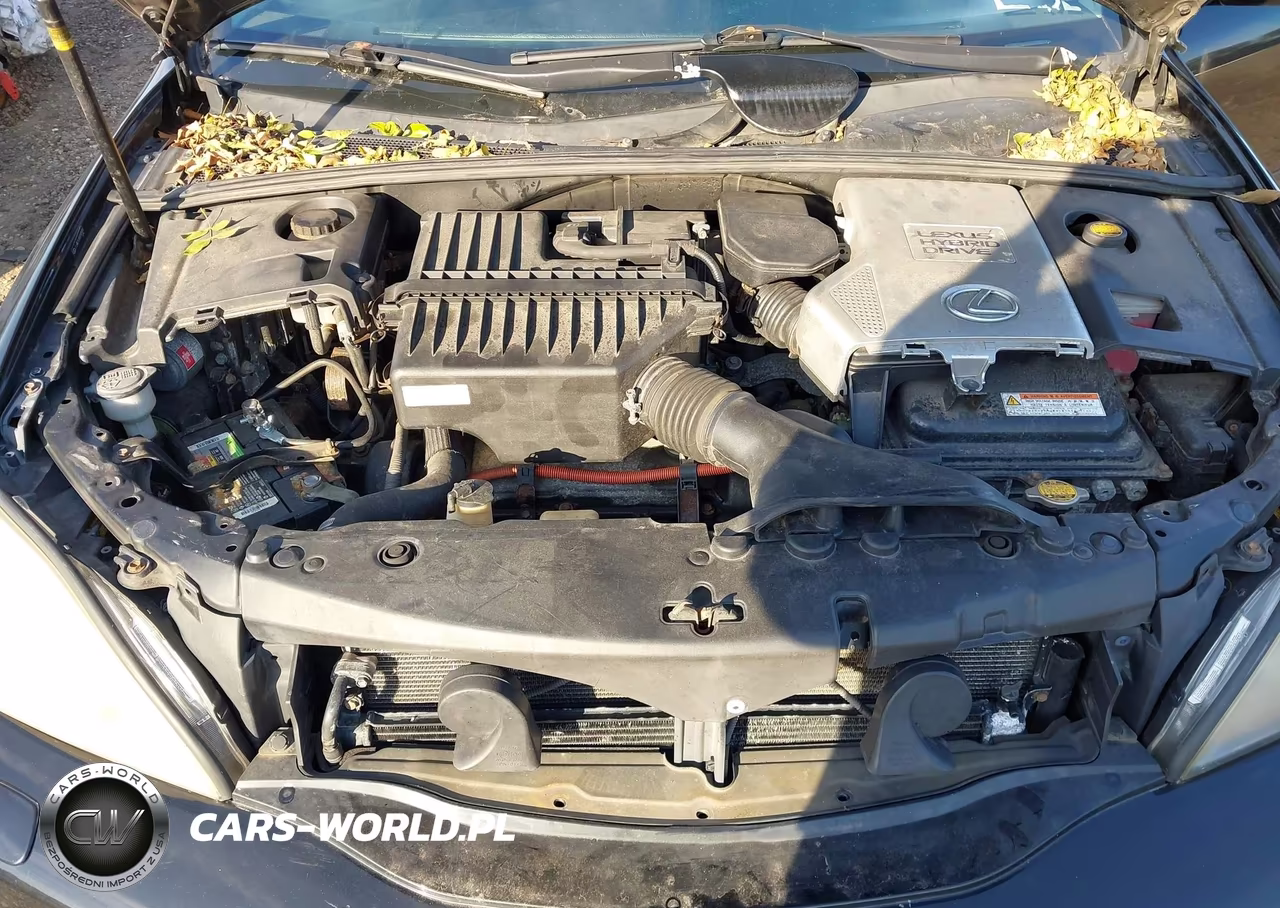 2008 Lexus Rx 400H VIN:JTJHW31UX82045495 - 10