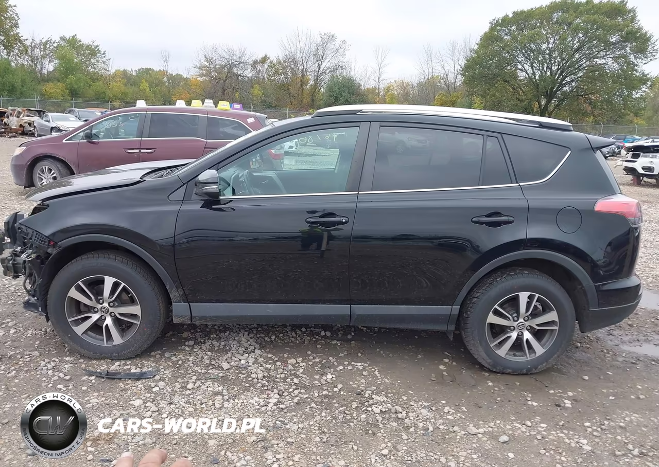 2016 Toyota Rav4 Xle VIN:2T3WFREV5GW308675 - 15