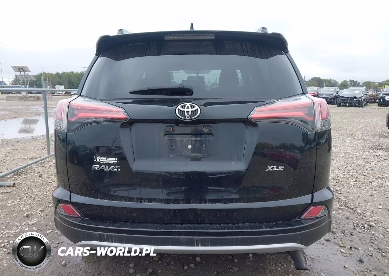 2016 Toyota Rav4 Xle VIN:2T3WFREV5GW308675 - 17