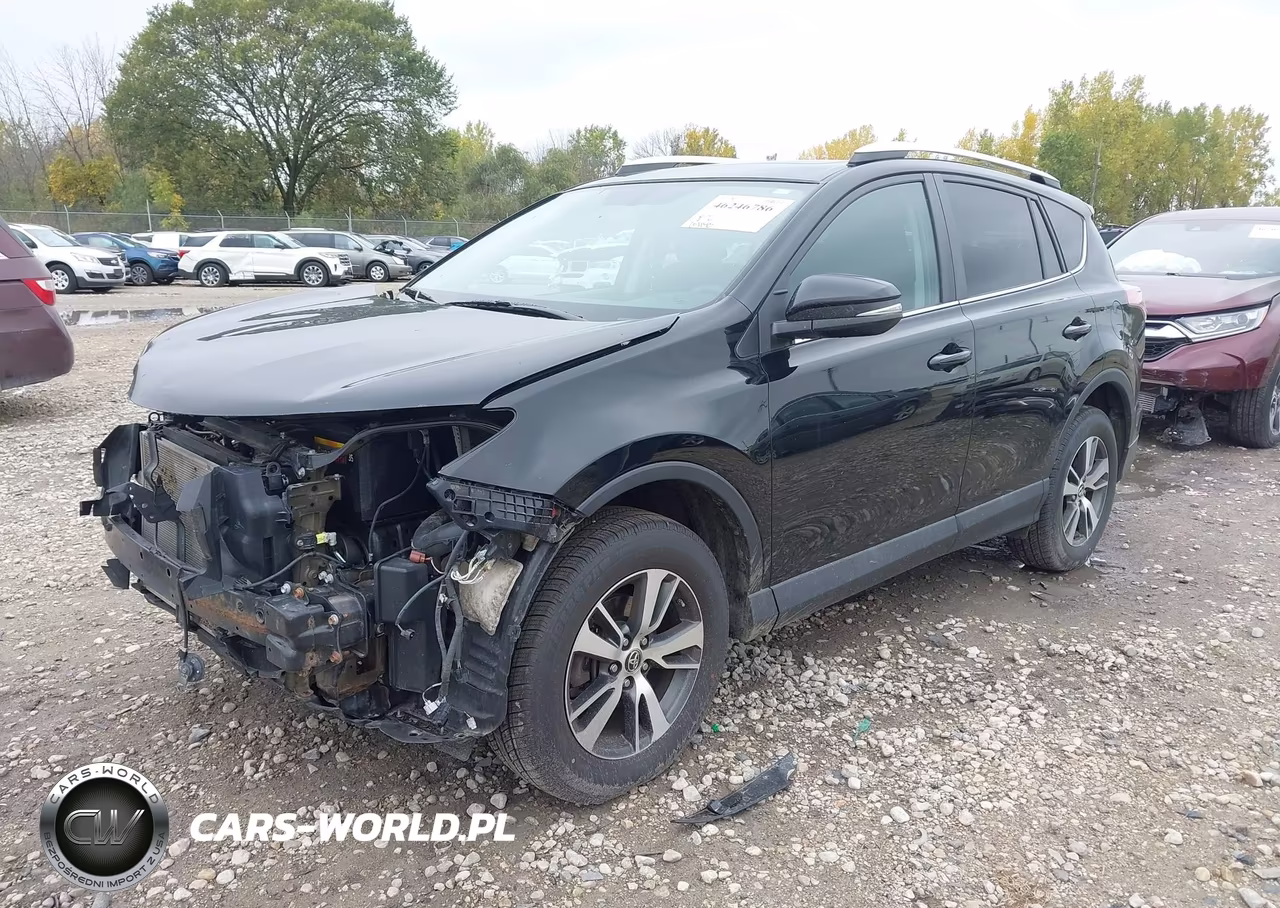 2016 Toyota Rav4 Xle VIN:2T3WFREV5GW308675 - 2