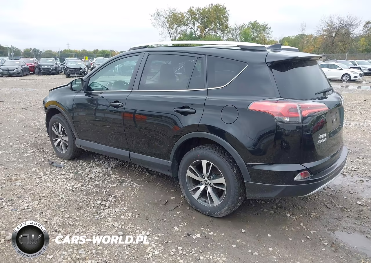 2016 Toyota Rav4 Xle VIN:2T3WFREV5GW308675 - 3
