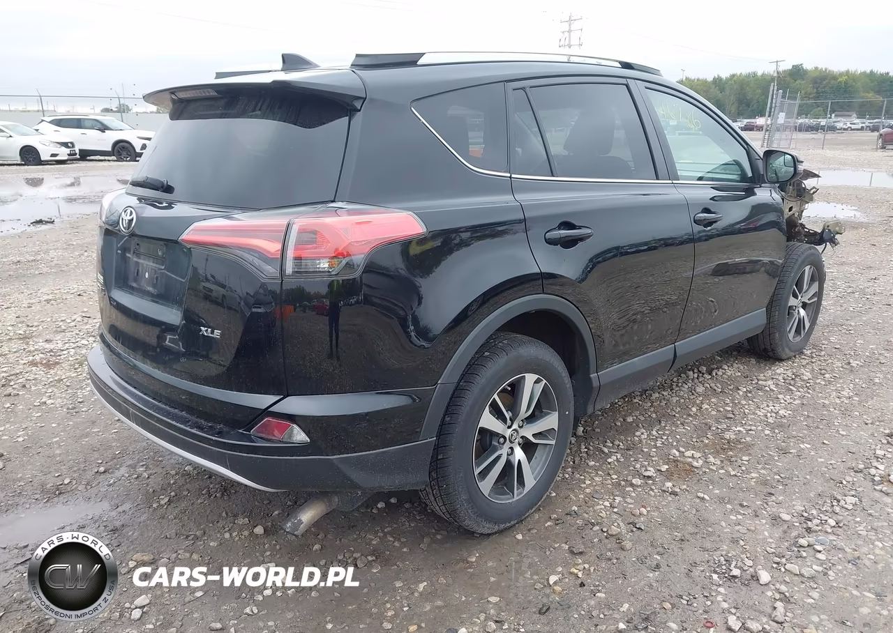2016 Toyota Rav4 Xle VIN:2T3WFREV5GW308675 - 4