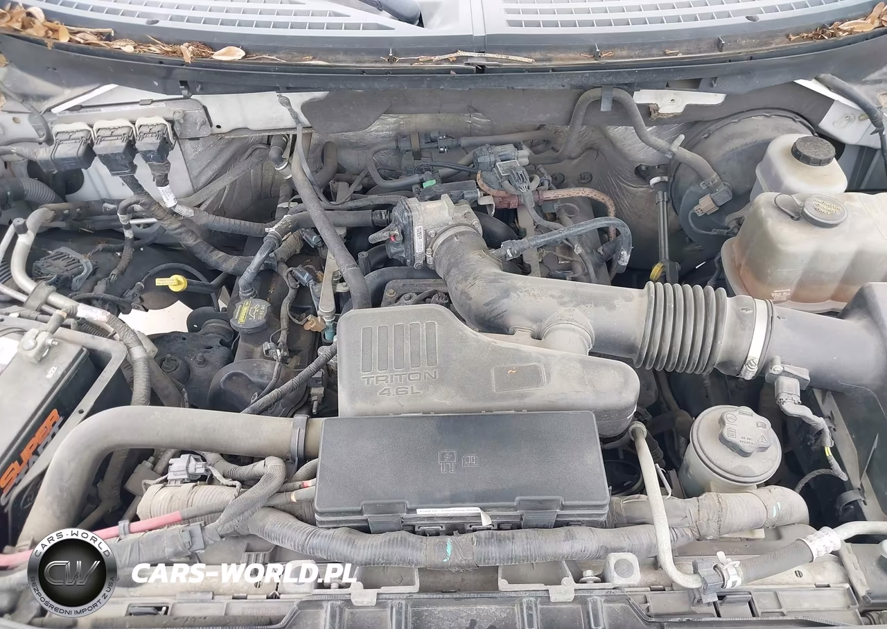 2010 Ford F-150 Stx-Xl VIN:1FTEX1CW7AFB09738 - 10