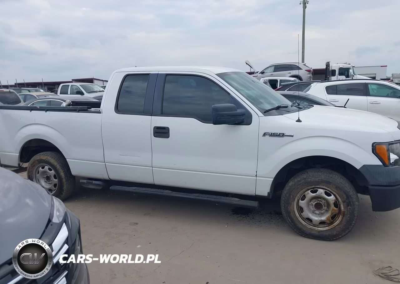 2010 Ford F-150 Stx-Xl VIN:1FTEX1CW7AFB09738 - 13