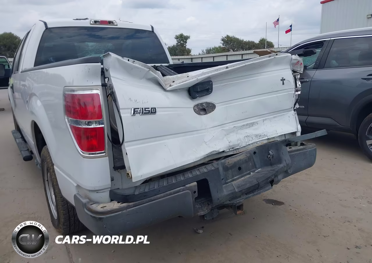 2010 Ford F-150 Stx-Xl VIN:1FTEX1CW7AFB09738 - 6