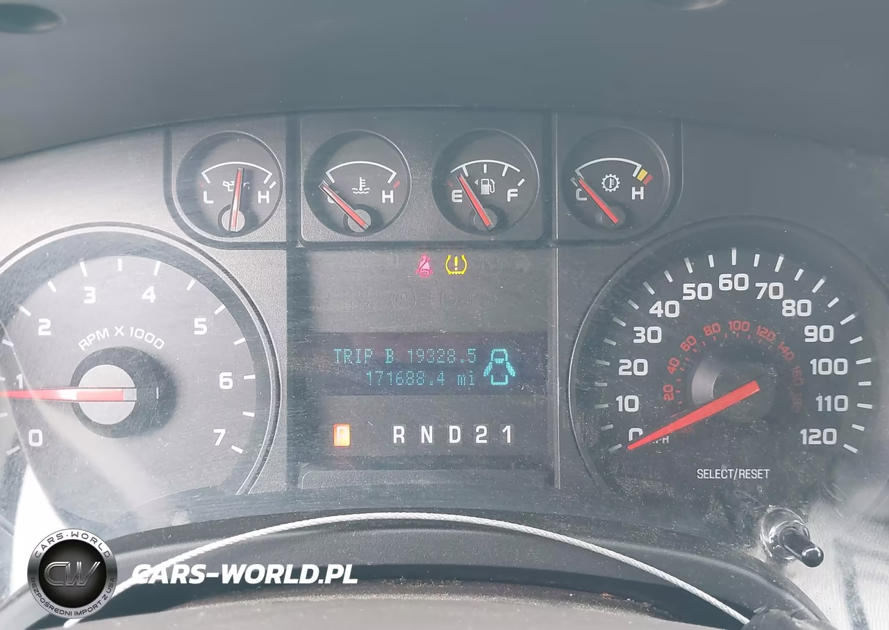 2010 Ford F-150 Stx-Xl VIN:1FTEX1CW7AFB09738 - 7