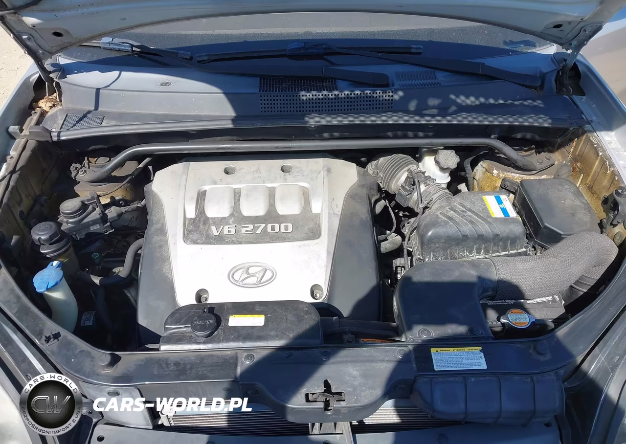2006 Hyundai Tucson Gls-Limited VIN:KM8JN72DX6U425818 - 10