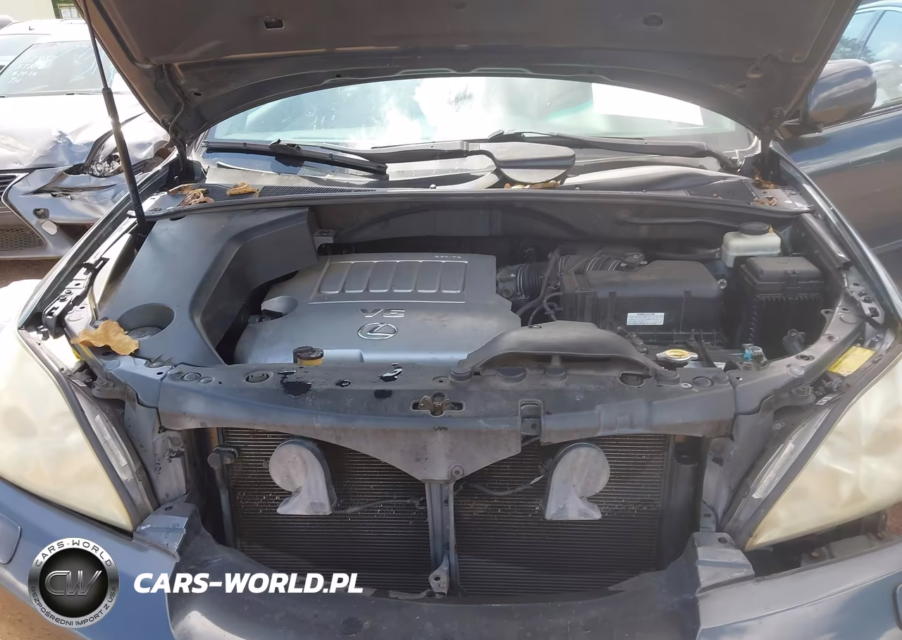 2007 Lexus Rx 350 VIN:2T2GK31U67C020812 - 10