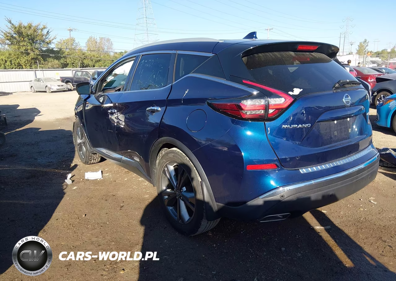 2019 Nissan Murano Platinum VIN:5N1AZ2MJXKN120947 - 3