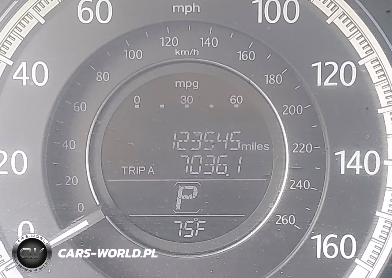 2013 Honda Accord Sdn Ex-L VIN:1HGCR2F81DA100623 - 15
