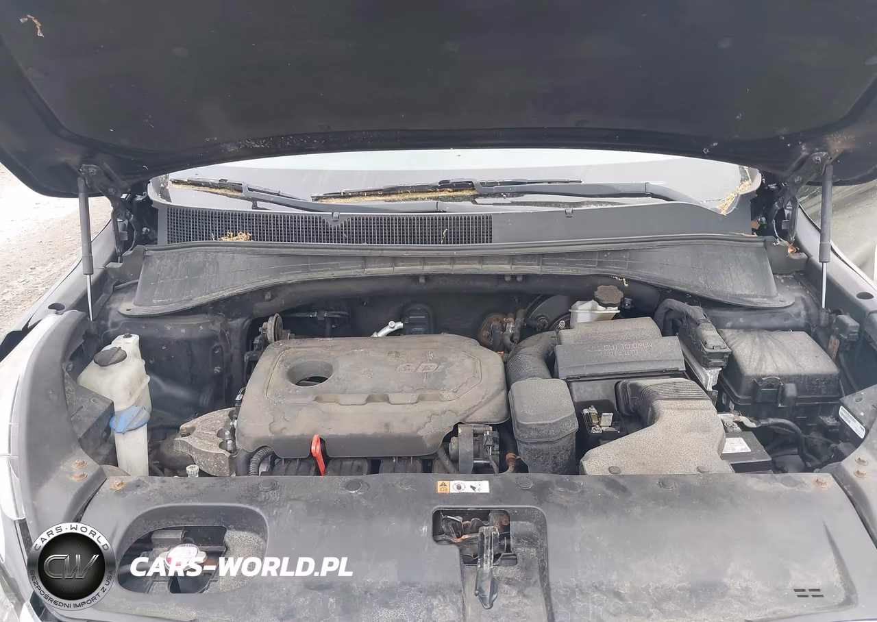 2017 Kia Sorento 2.4L Lx VIN:5XYPGDA36HG214636 - 10