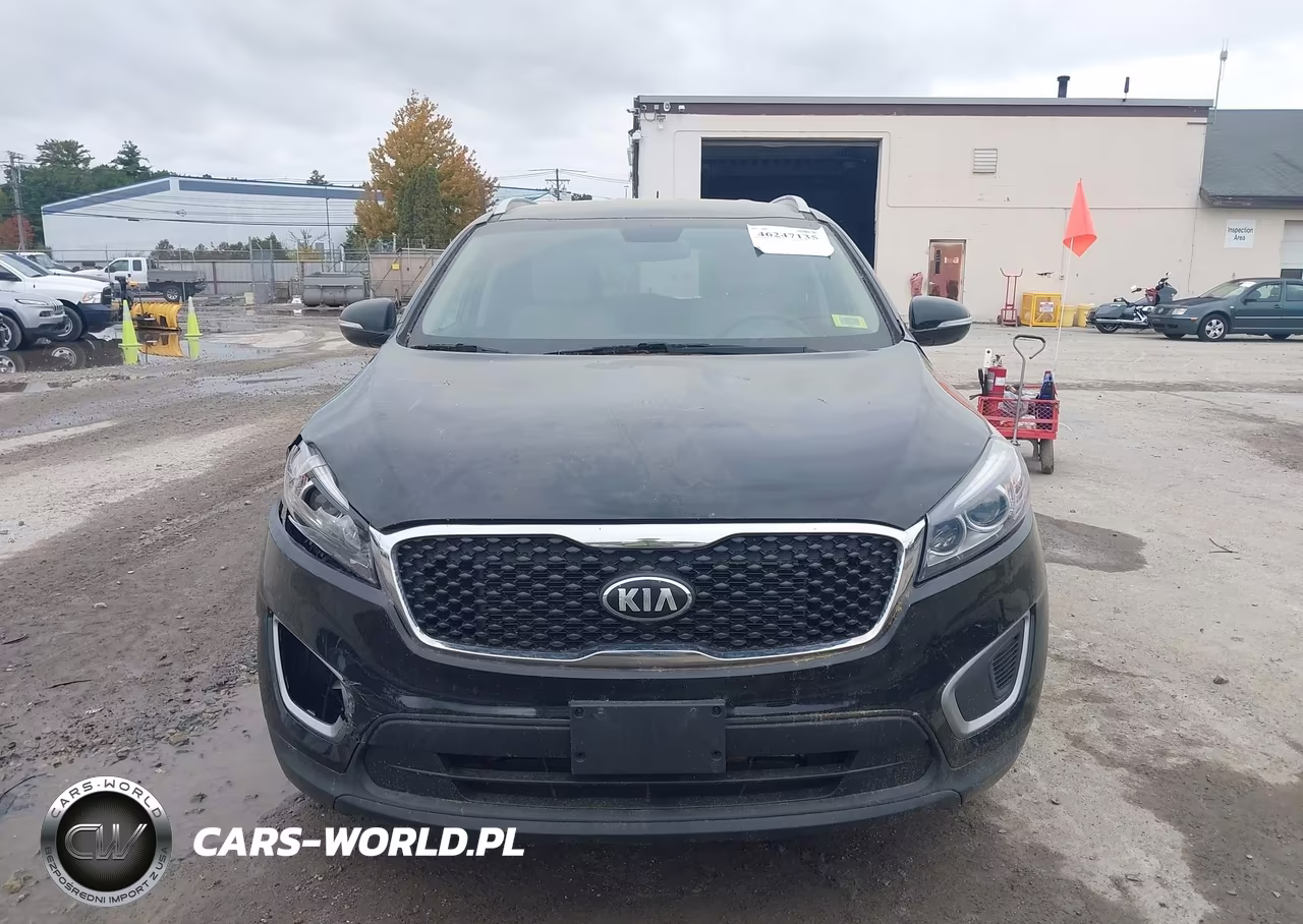 2017 Kia Sorento 2.4L Lx VIN:5XYPGDA36HG214636 - 12