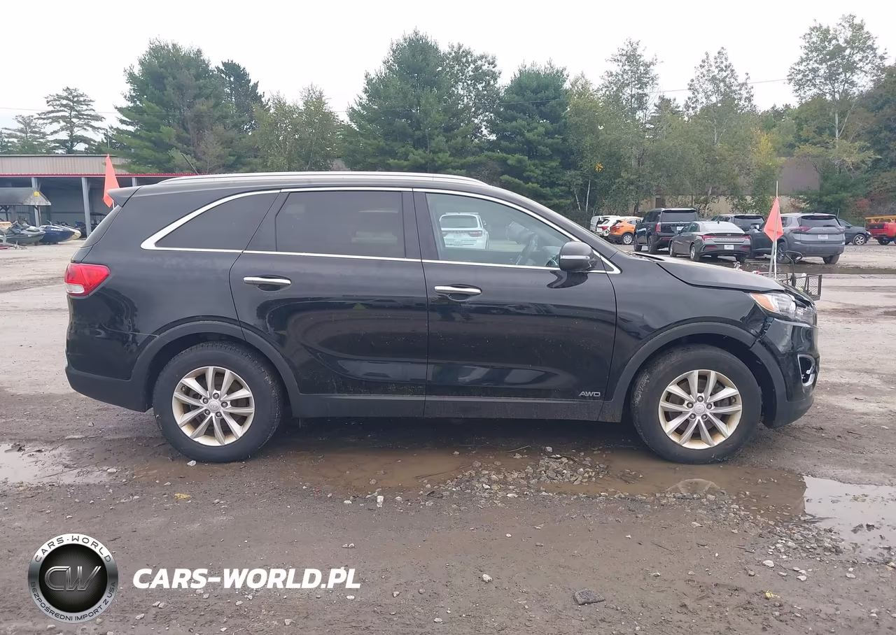 2017 Kia Sorento 2.4L Lx VIN:5XYPGDA36HG214636 - 13