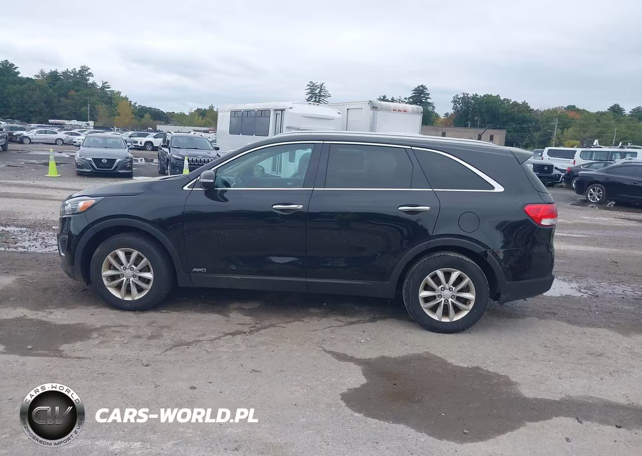 2017 Kia Sorento 2.4L Lx VIN:5XYPGDA36HG214636 - 14