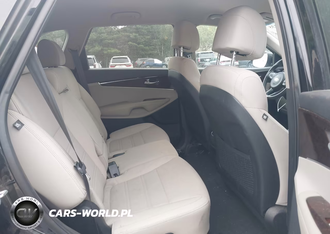 2017 Kia Sorento 2.4L Lx VIN:5XYPGDA36HG214636 - 8