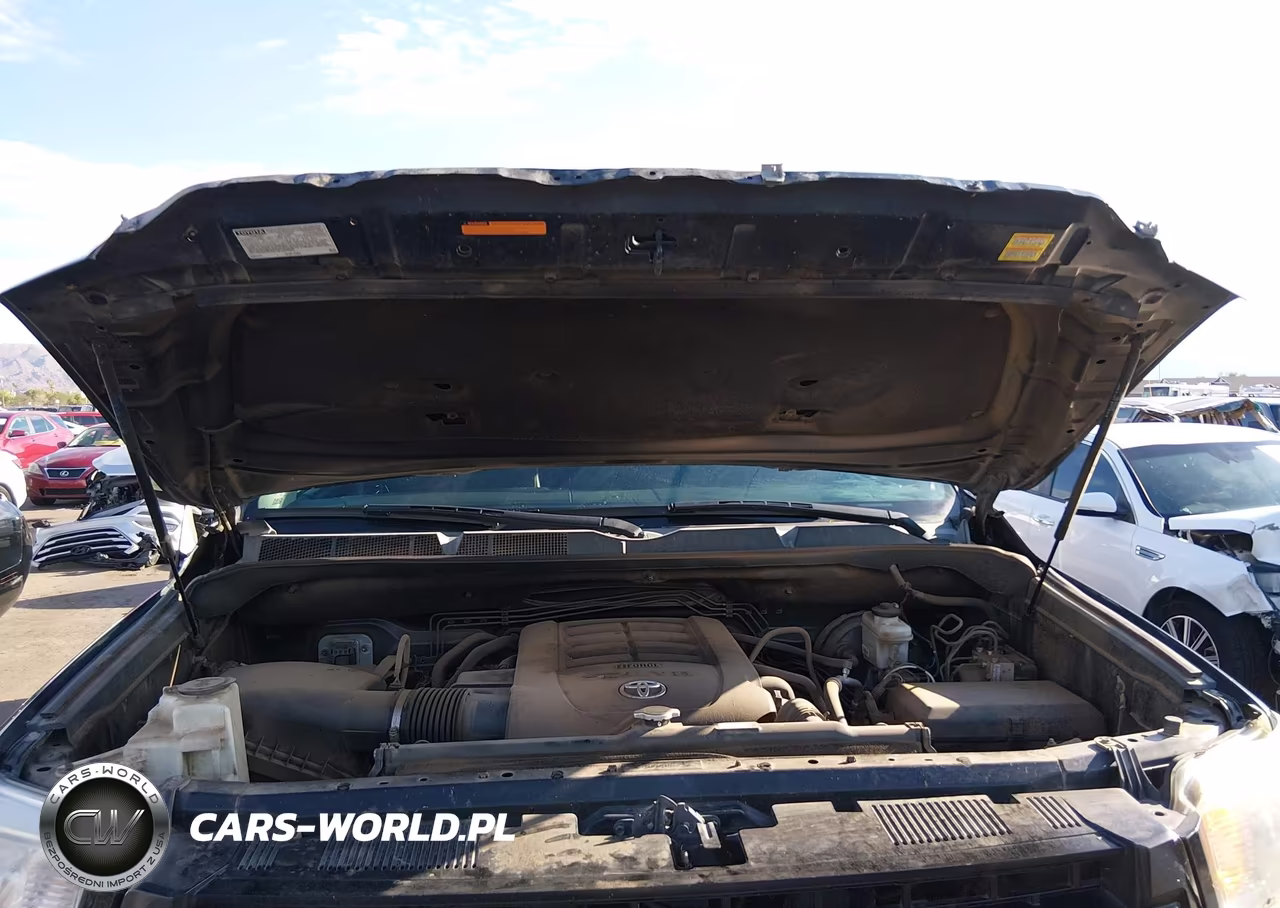 2017 Toyota Tundra Platinum 5.7L V8 VIN:5TFAW5F15HX638781 - 10