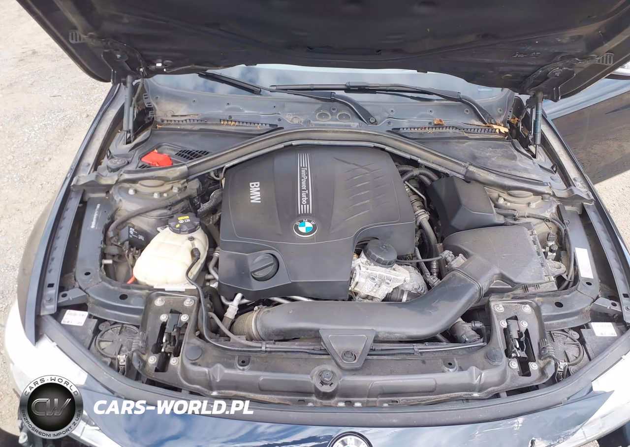 2016 BMW 435I Gran Coupe xDrive VIN:WBA4B3C52GG344724 - 10