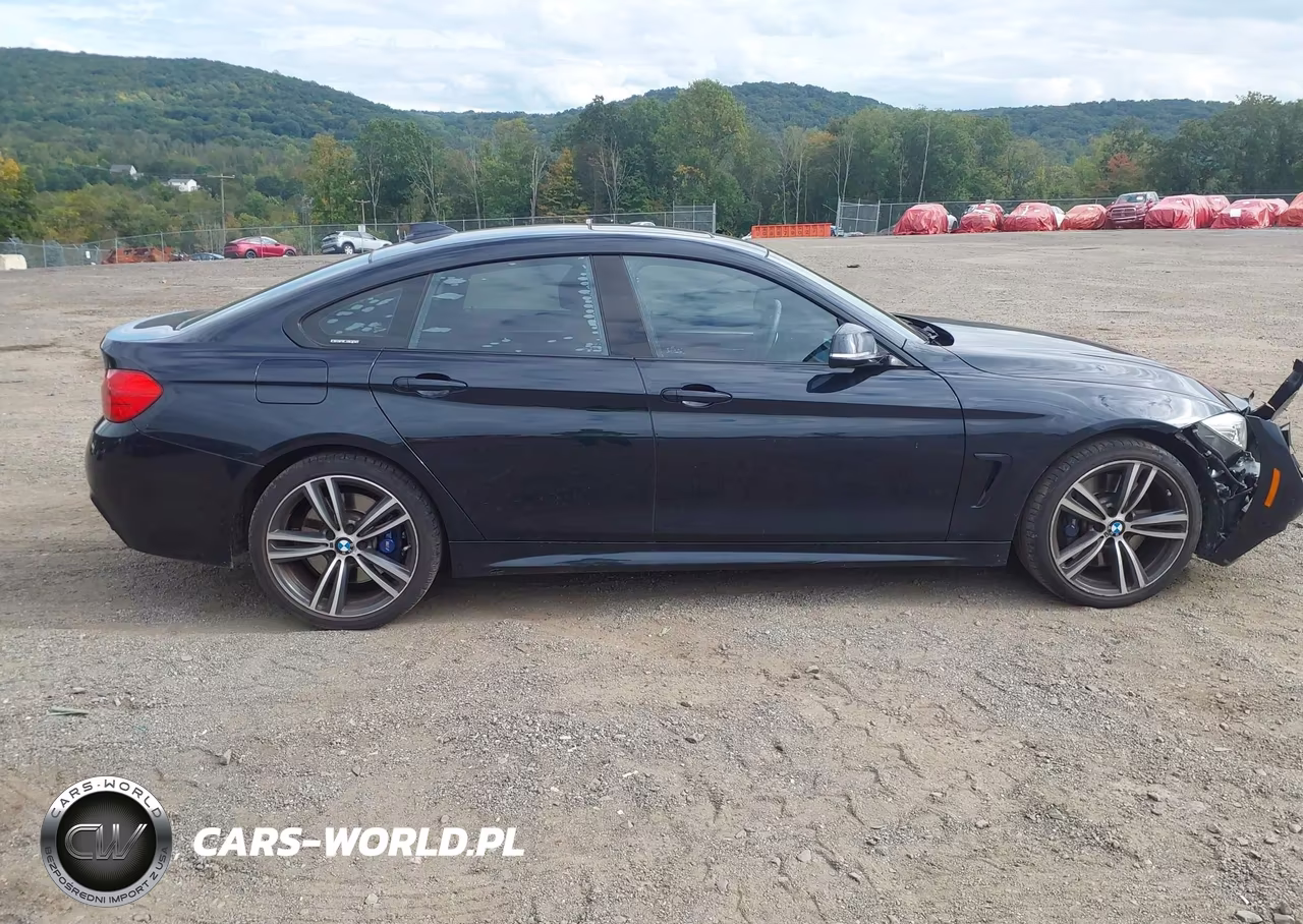 2016 BMW 435I Gran Coupe xDrive VIN:WBA4B3C52GG344724 - 13