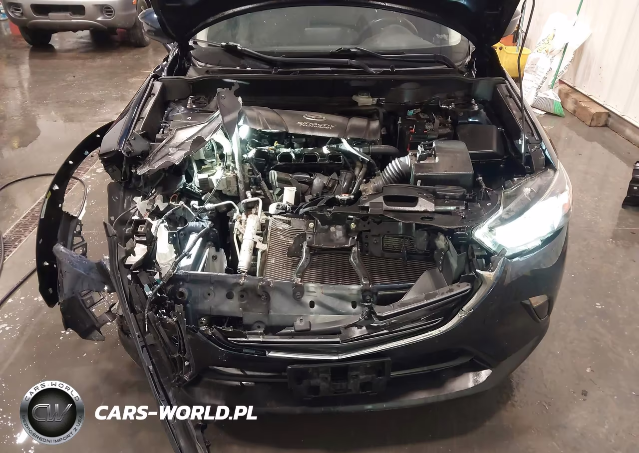 2019 Mazda Cx-3 Touring VIN:JM1DKFC72K1461138 - 10
