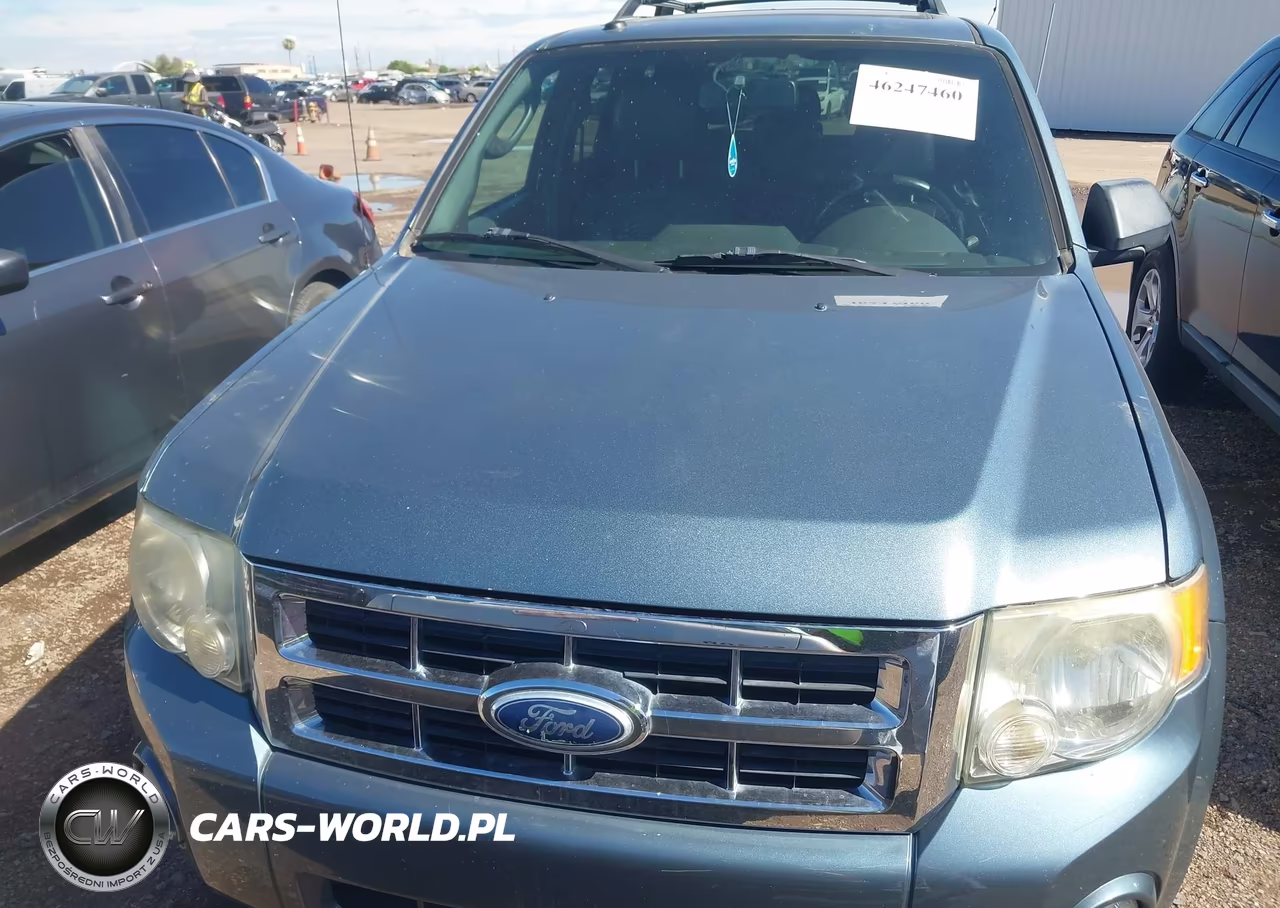 2011 Ford Escape Xlt VIN:1FMCU0D78BKA68493 - 6