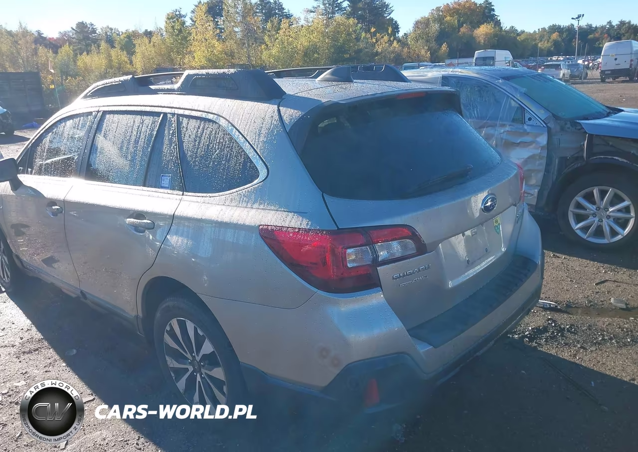 2019 Subaru Outback 2.5I Limited VIN:4S4BSANC0K3256356 - 3