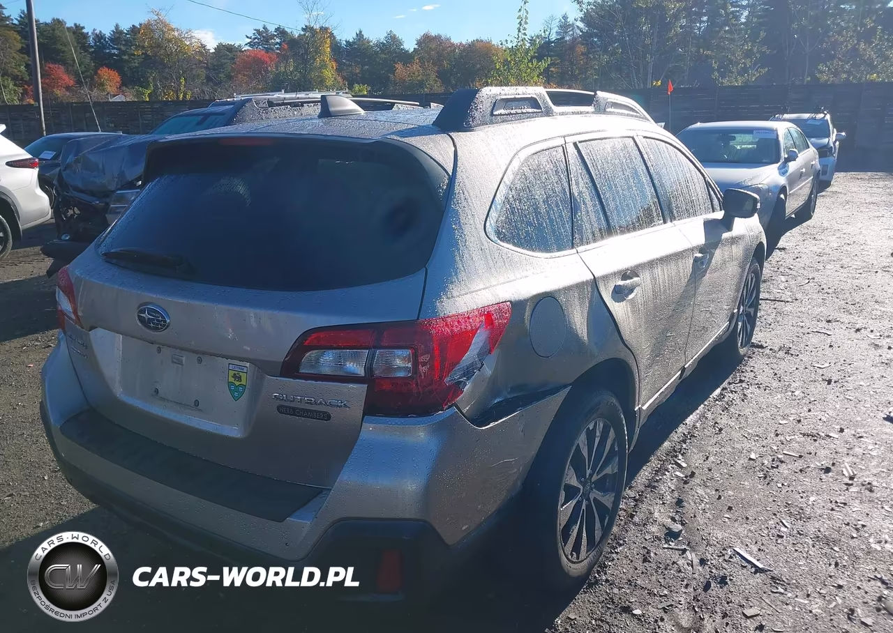 2019 Subaru Outback 2.5I Limited VIN:4S4BSANC0K3256356 - 4