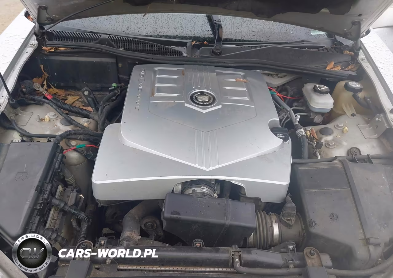2004 Cadillac Cts Standard VIN:1G6DM577X40109984 - 10