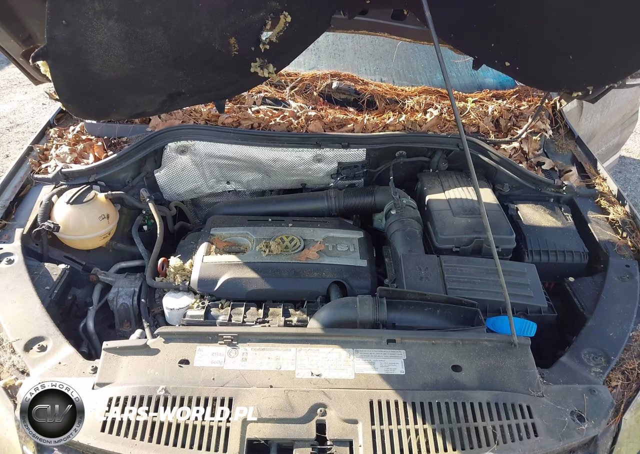 2013 Volkswagen Tiguan Sel VIN:WVGBV7AX7DW525733 - 10
