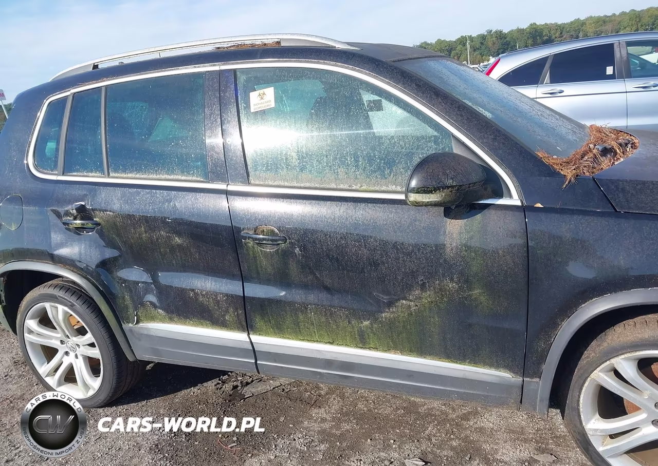 2013 Volkswagen Tiguan Sel VIN:WVGBV7AX7DW525733 - 12