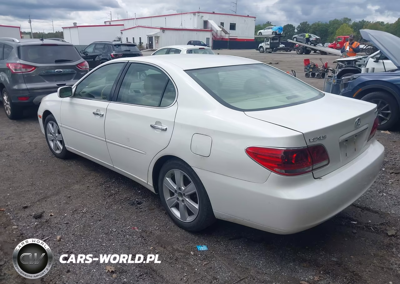 2005 Lexus Es 330 VIN:JTHBA30G155087100 - 3