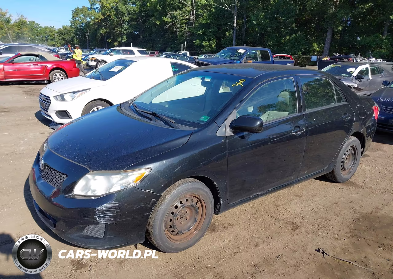 2010 Toyota Corolla Le VIN:JTDBU4EE6AJ075581 - 2