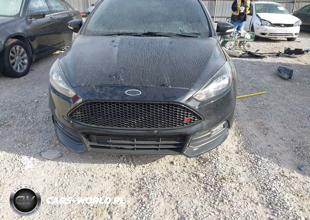 2018 Ford Focus St VIN:1FADP3L93JL232123 - 12