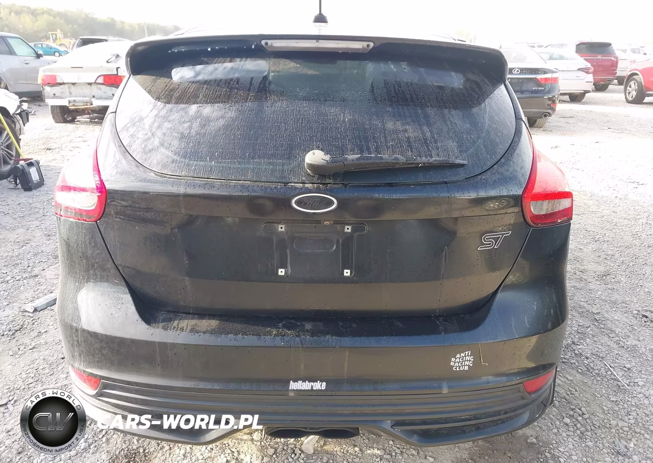 2018 Ford Focus St VIN:1FADP3L93JL232123 - 16