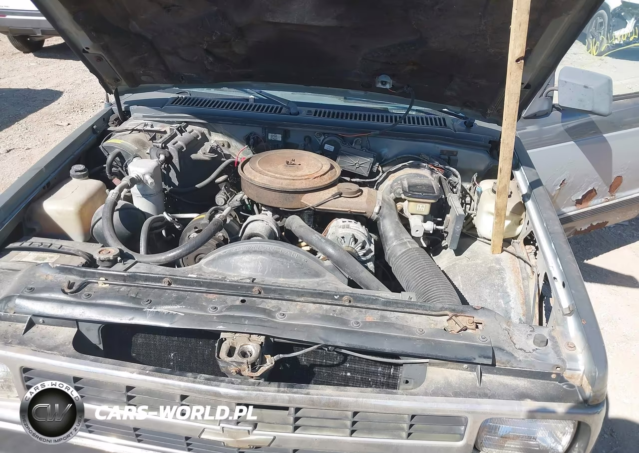 1991 Chevrolet S Truck S10 VIN:1GCCS14Z0M8116201 - 10