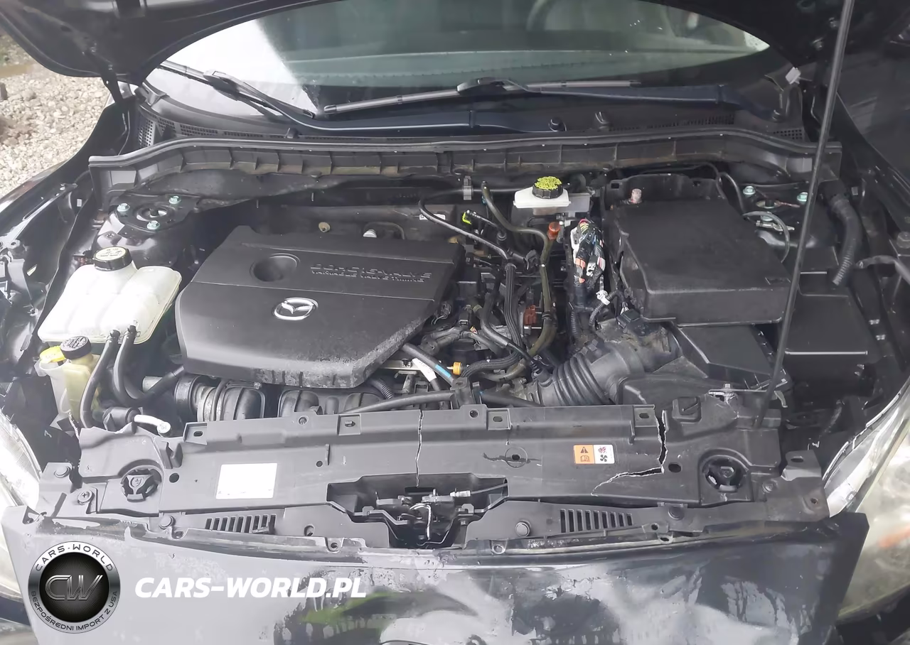 2010 Mazda Mazda3 I Sport VIN:JM1BL1SF8A1169251 - 10