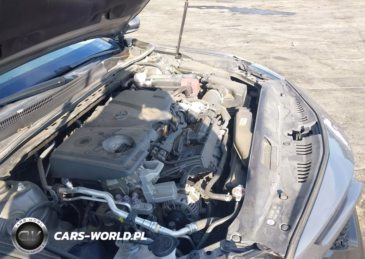 2019 Toyota Camry Xse VIN:4T1B61HK9KU772278 - 10