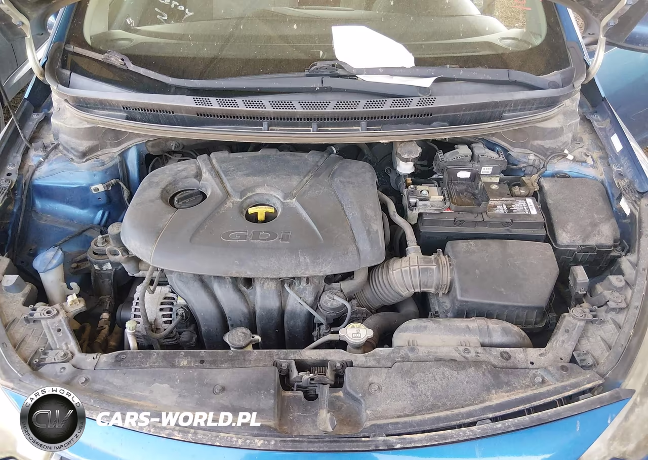 2014 Kia Forte Ex VIN:KNAFX4A86E5049423 - 10