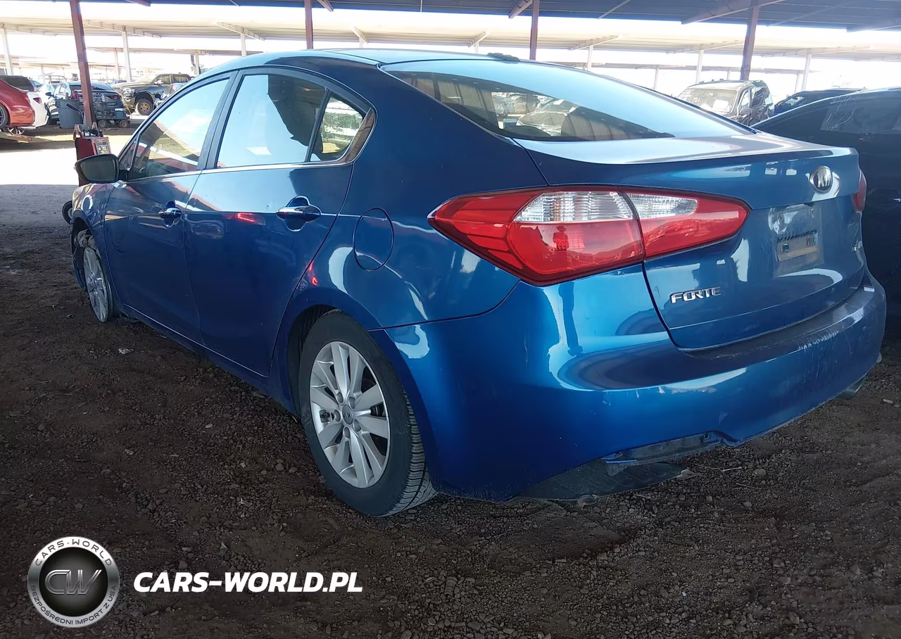 2014 Kia Forte Ex VIN:KNAFX4A86E5049423 - 3