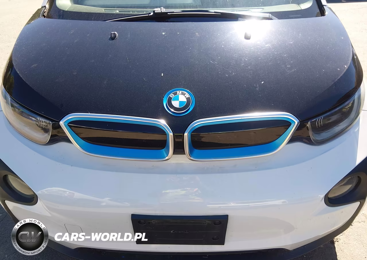 2014 BMW I3 Base W-Range Extender VIN:WBY1Z4C59EV275545 - 10