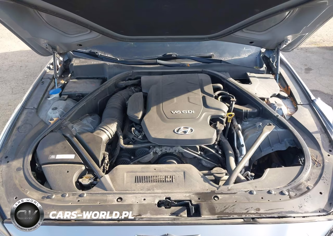 2015 Hyundai Genesis 3.8 VIN:KMHGN4JE3FU073331 - 10