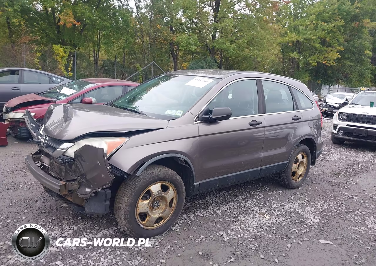 2011 Honda Cr-V Lx VIN:5J6RE4H33BL039501 - 2