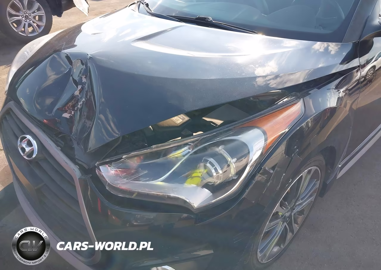 2016 Hyundai Veloster Turbo VIN:KMHTC6AE5GU281566 - 17