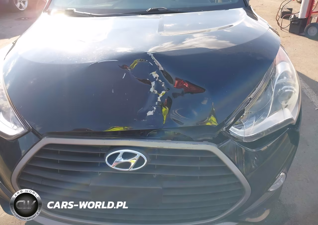 2016 Hyundai Veloster Turbo VIN:KMHTC6AE5GU281566 - 6