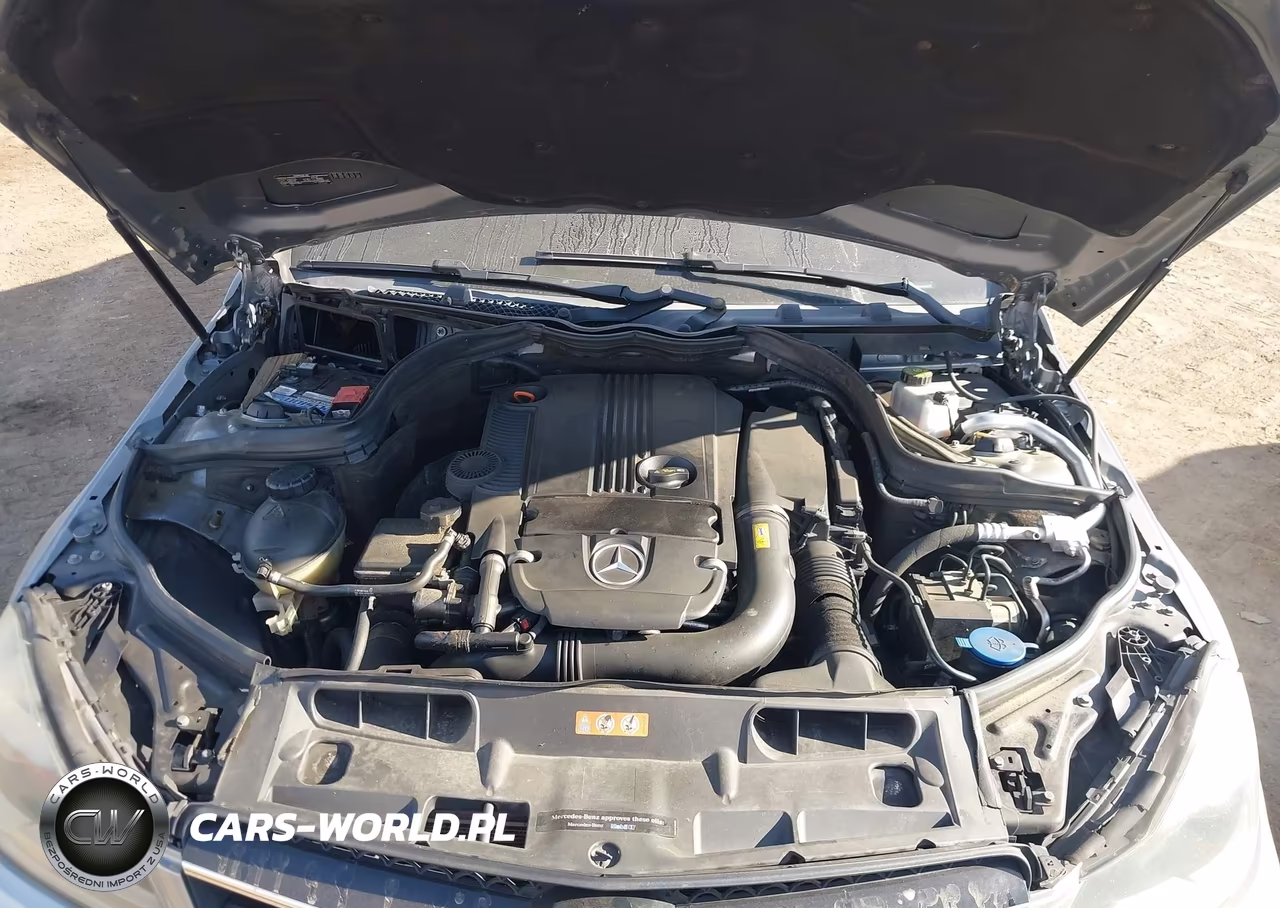 2015 Mercedes-Benz C 250 VIN:WDDGJ4HB0FG415446 - 10