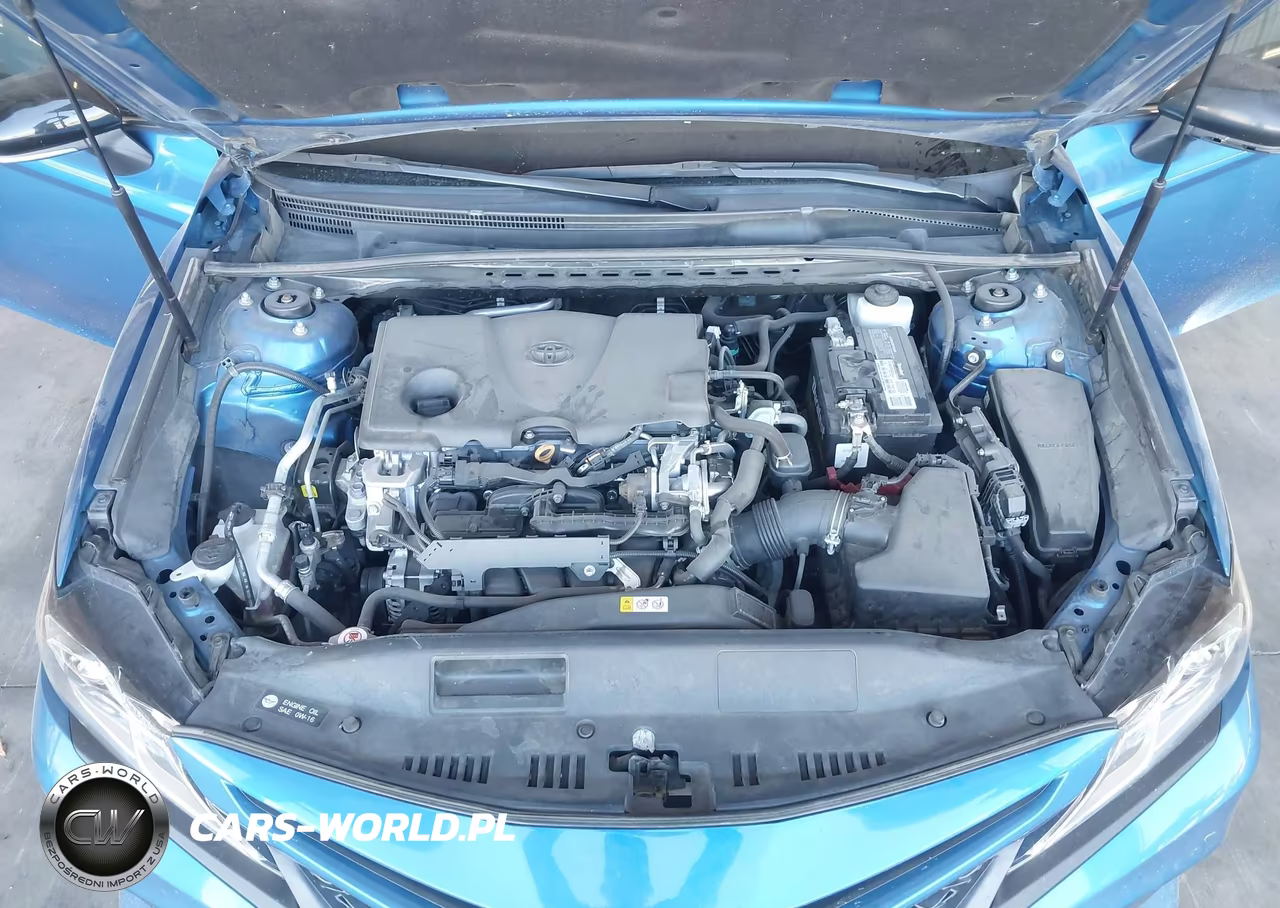 2020 Toyota Camry Se VIN:4T1M11AK1LU379040 - 10