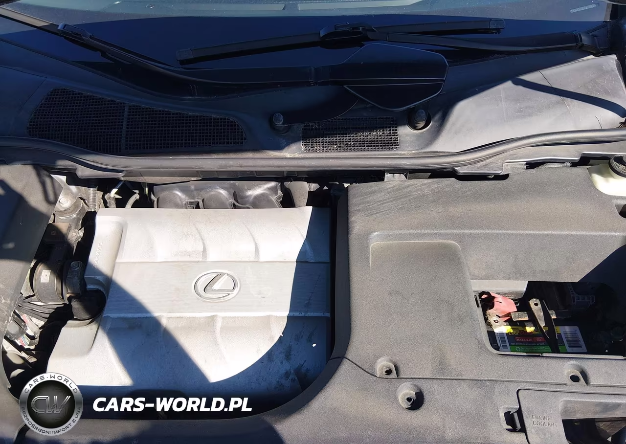 2010 Lexus Rx 350 VIN:2T2BK1BA0AC060295 - 10