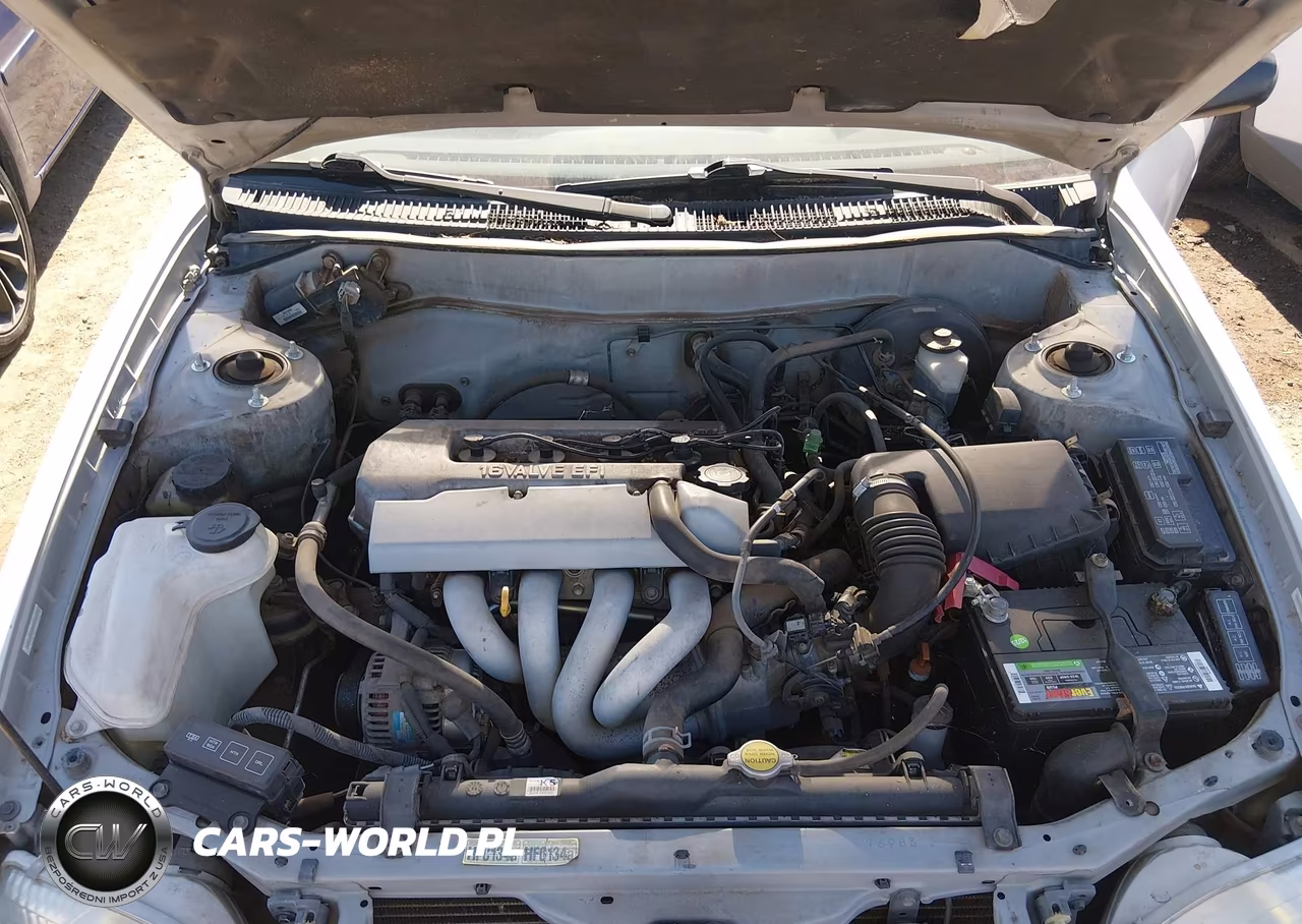 1999 Toyota Corolla Ve VIN:1NXBR12E0XZ271023 - 10